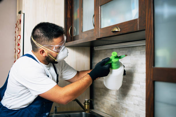 Best Local Pest Control Services  in Milan, IN
