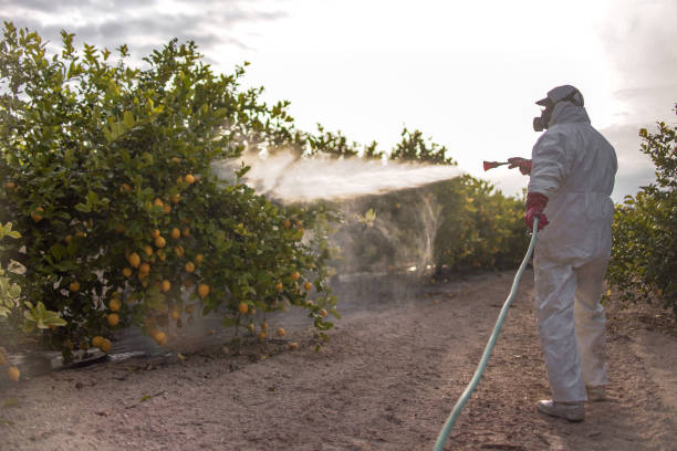  Milan, IN Pest Control Pros